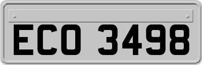 ECO3498
