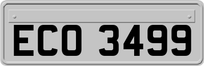 ECO3499