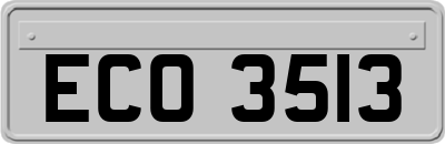 ECO3513