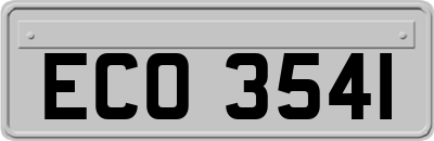 ECO3541