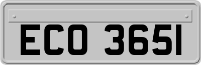 ECO3651