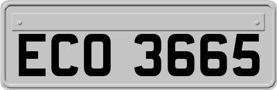 ECO3665