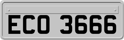 ECO3666