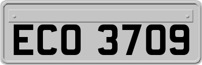 ECO3709