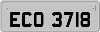 ECO3718