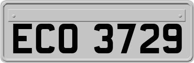 ECO3729