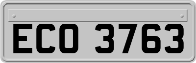 ECO3763