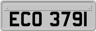 ECO3791