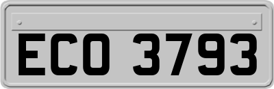 ECO3793