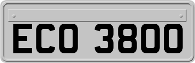 ECO3800