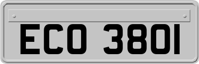 ECO3801