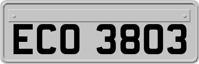 ECO3803