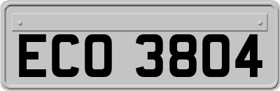 ECO3804