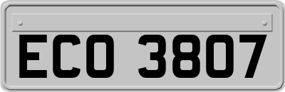 ECO3807