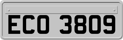 ECO3809