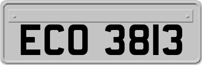ECO3813