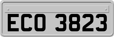 ECO3823