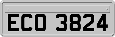 ECO3824