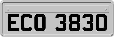 ECO3830