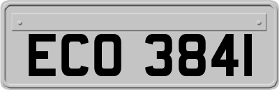 ECO3841