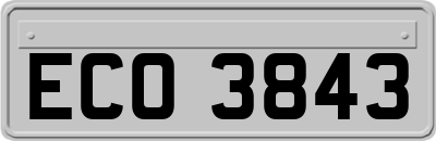 ECO3843
