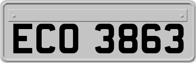 ECO3863