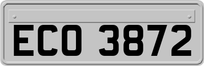 ECO3872