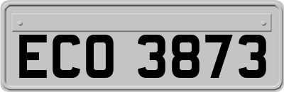 ECO3873