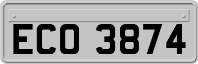 ECO3874