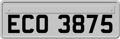 ECO3875