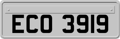 ECO3919