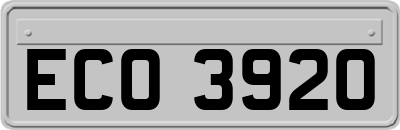 ECO3920