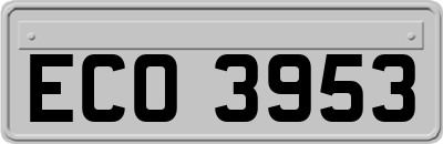 ECO3953