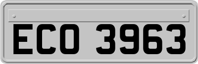 ECO3963