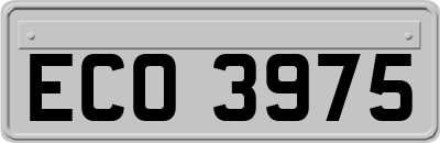 ECO3975