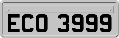 ECO3999