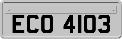 ECO4103