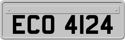 ECO4124
