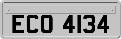 ECO4134