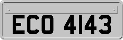 ECO4143