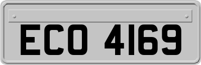 ECO4169