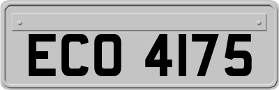 ECO4175