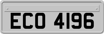 ECO4196