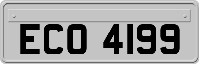ECO4199