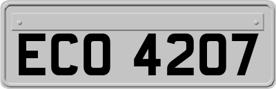 ECO4207