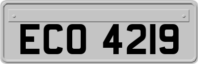 ECO4219