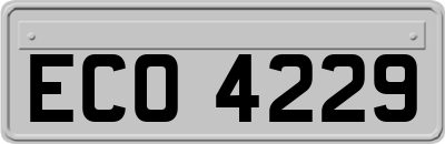 ECO4229