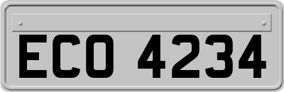 ECO4234