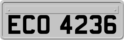 ECO4236