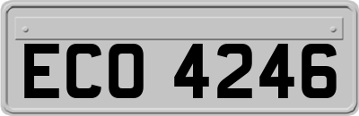 ECO4246
